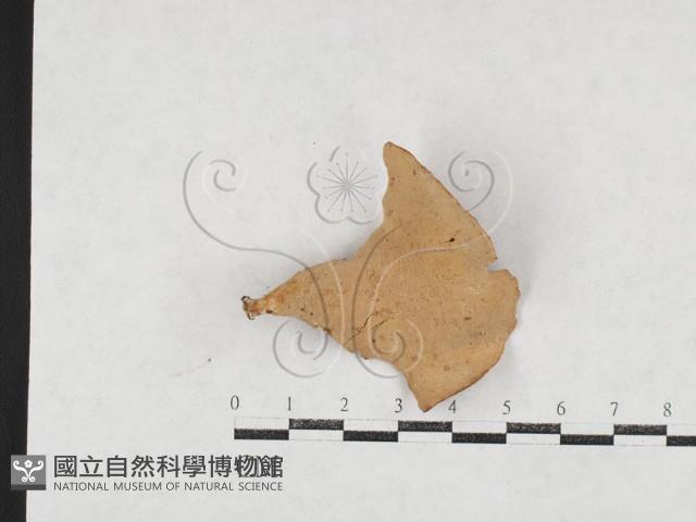 登錄號:F0026985藏品圖，第3張