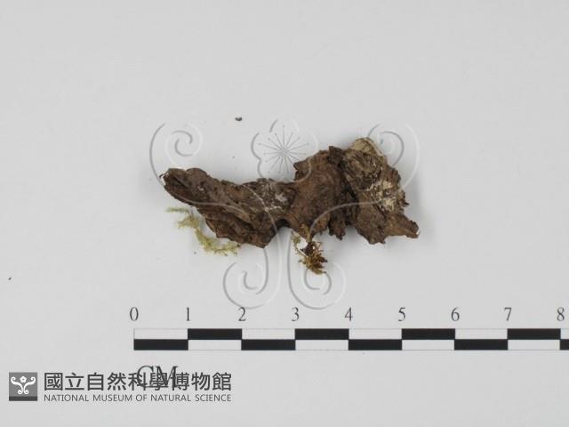 登錄號:F0000685藏品圖，第3張