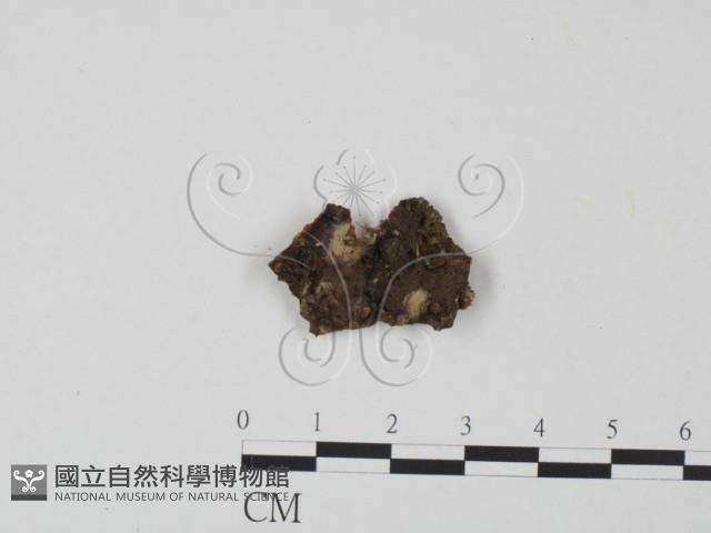 登錄號:F0021685藏品圖，第3張