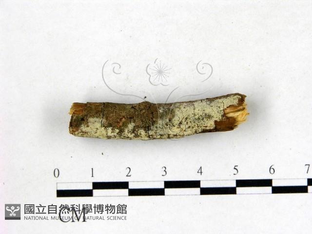 登錄號:F0022685藏品圖，第3張