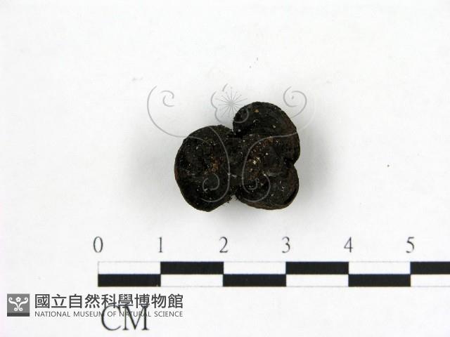 登錄號:F0003685藏品圖，第3張