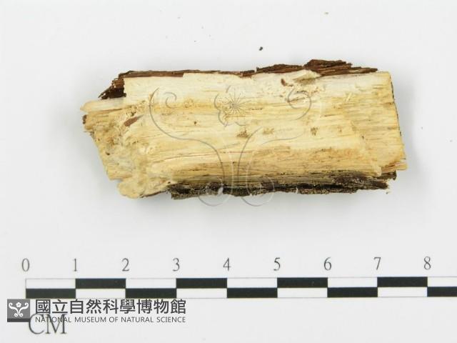 登錄號:F0013685藏品圖，第3張