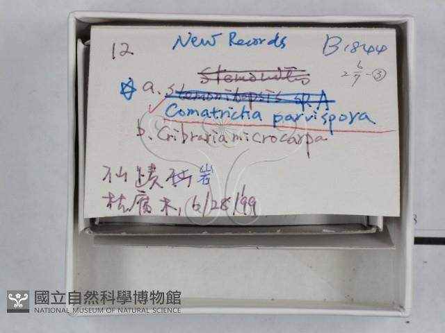 登錄號:F0018485藏品圖，第3張