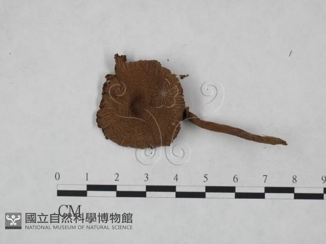 登錄號:F0023485藏品圖，第3張