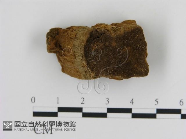 登錄號:F0015785藏品圖，第3張