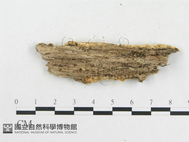 登錄號:F0006585藏品圖，第3張