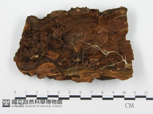 登錄號:F0004585藏品圖，第3張