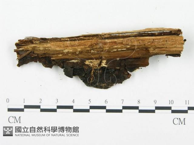 登錄號:F0008185藏品圖，第3張