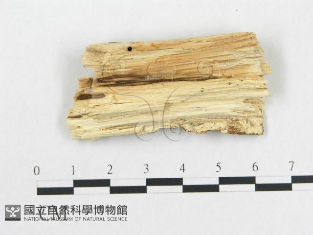 登錄號:F0000085藏品圖，第3張