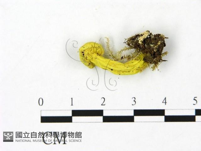 登錄號:F0023085藏品圖，第3張