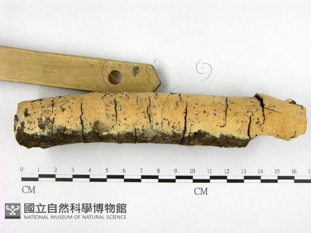 登錄號:F0001385藏品圖，第3張