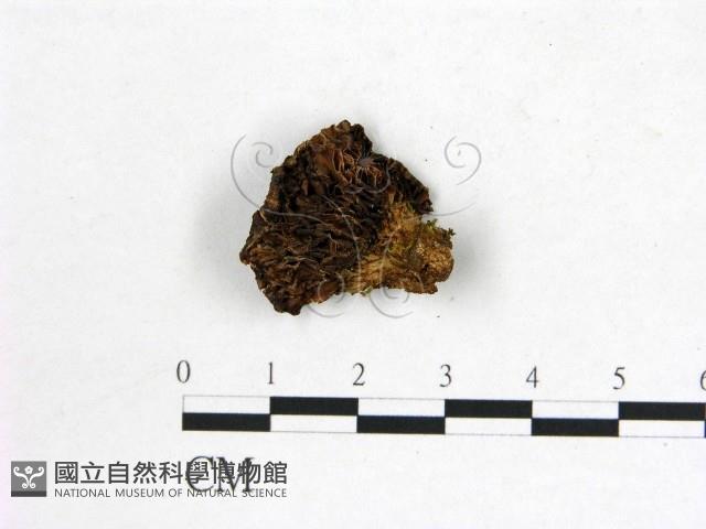 登錄號:F0008029藏品圖，第3張