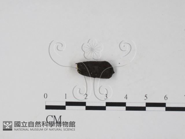 登錄號:F0007409藏品圖，第3張