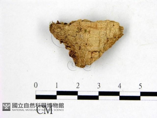 登錄號:F0009509藏品圖，第3張