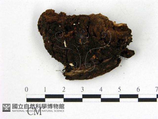 登錄號:F0008109藏品圖，第3張