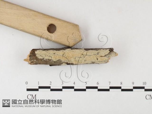 登錄號:F0026009藏品圖，第3張