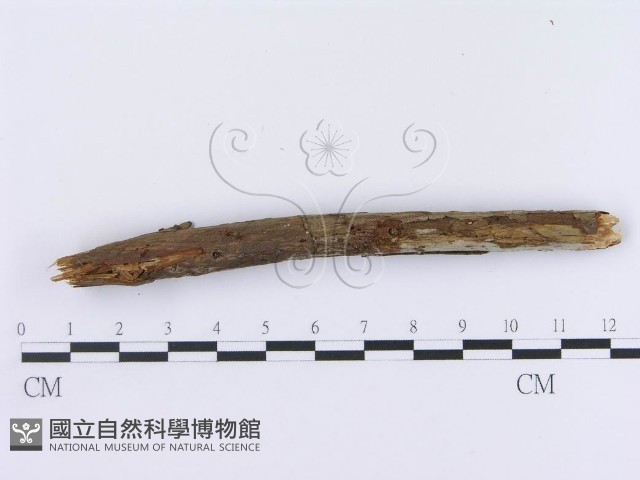 登錄號:F0003009藏品圖，第3張