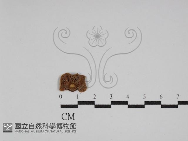Accession Number:F0002019 Collection Image, Figure 3, Total 3 Figures