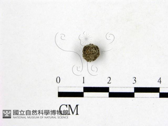 登錄號:F0000999藏品圖，第3張