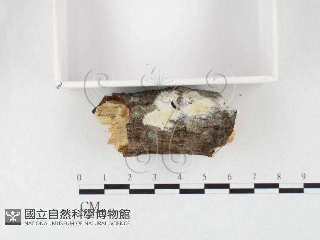 登錄號:F0026699藏品圖，第3張