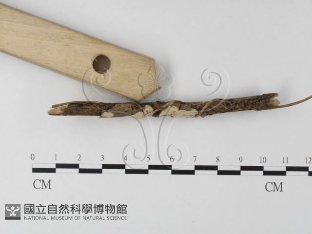 登錄號:F0014699藏品圖，第3張