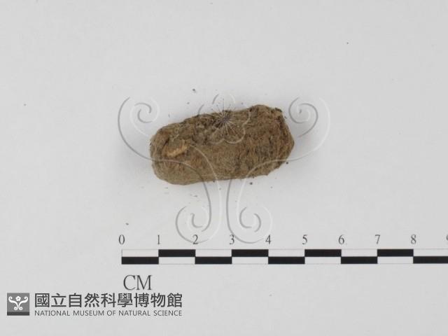 登錄號:F0025699藏品圖，第3張