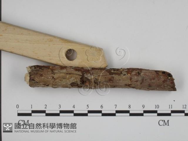 登錄號:F0008799藏品圖，第3張