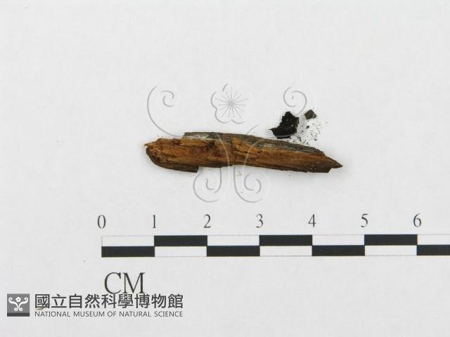 登錄號:F0016799藏品圖，第3張