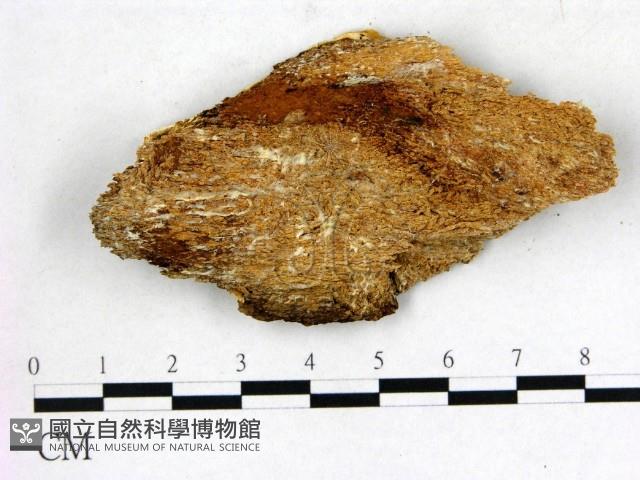 登錄號:F0005799藏品圖，第3張