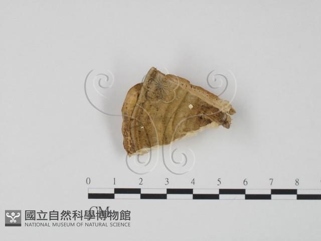 Accession Number:F0006599 Collection Image, Figure 3, Total 3 Figures