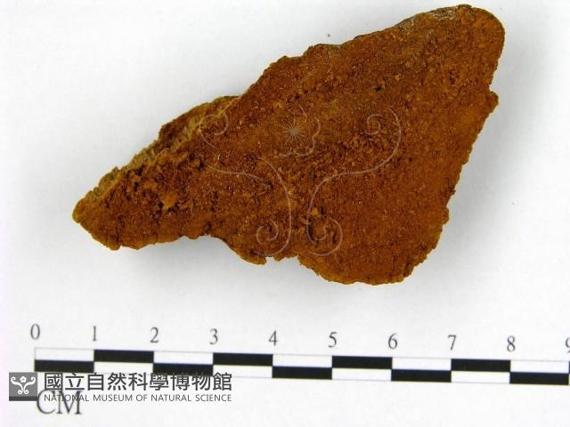 登錄號:F0006199藏品圖，第3張
