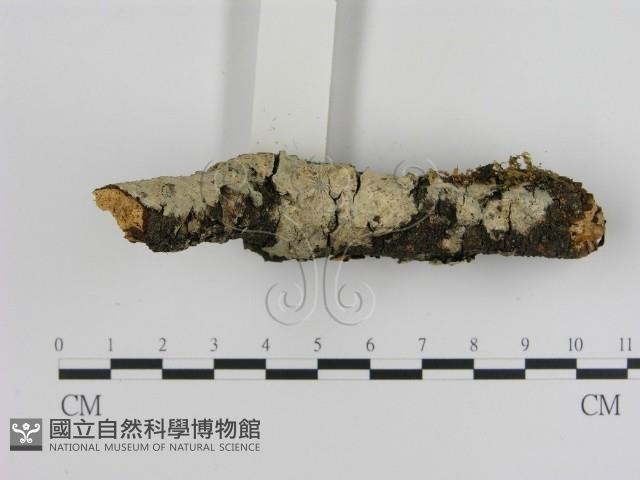 登錄號:F0001199藏品圖，第3張