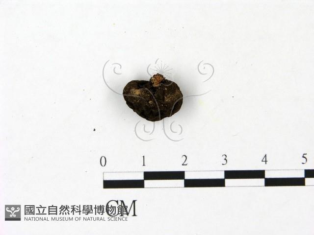 登錄號:F0023099藏品圖，第3張