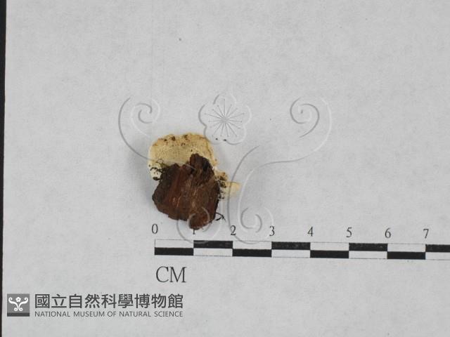 登錄號:F0028289藏品圖，第3張