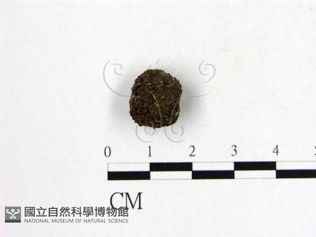 登錄號:F0016889藏品圖，第3張