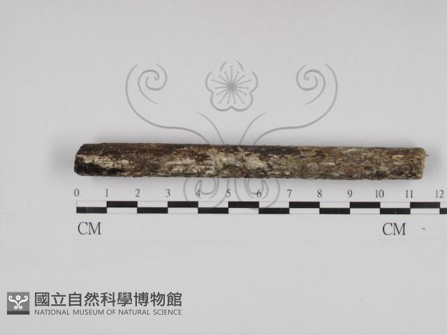 登錄號:F0030989藏品圖，第3張