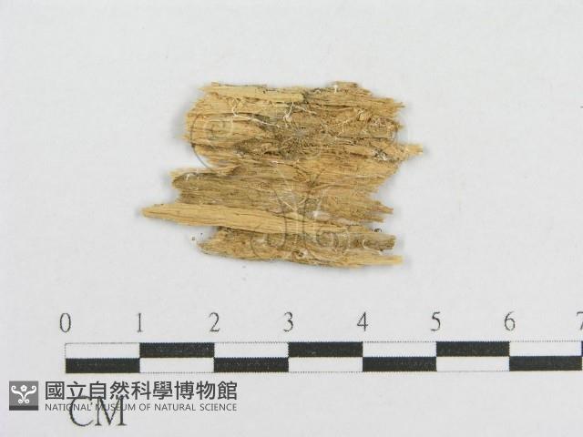 登錄號:F0016989藏品圖，第3張