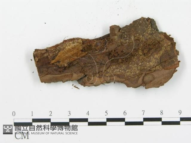 登錄號:F0004989藏品圖，第3張