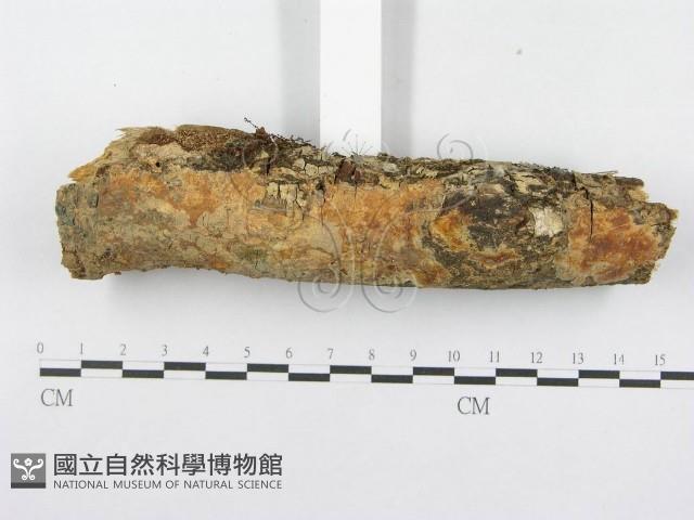 登錄號:F0014989藏品圖，第3張