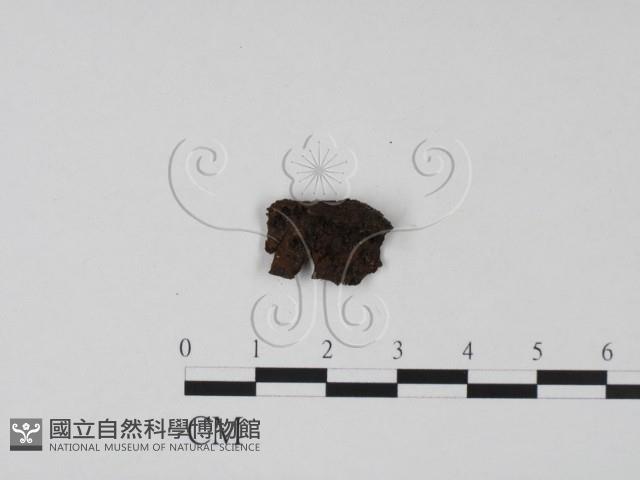 登錄號:F0000689藏品圖，第3張