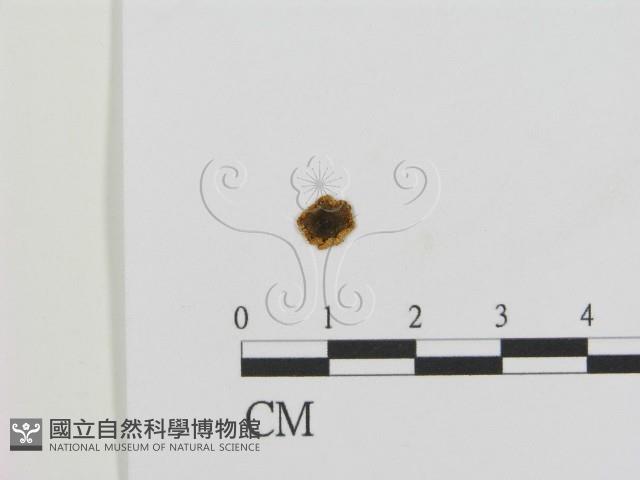 登錄號:F0012689藏品圖，第3張