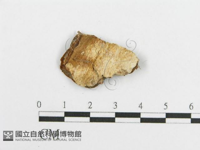 登錄號:F0017689藏品圖，第1張