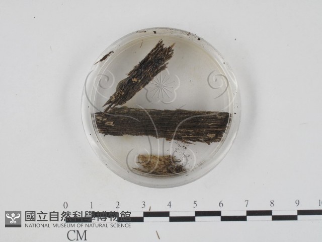 登錄號:F0005689藏品圖，第3張