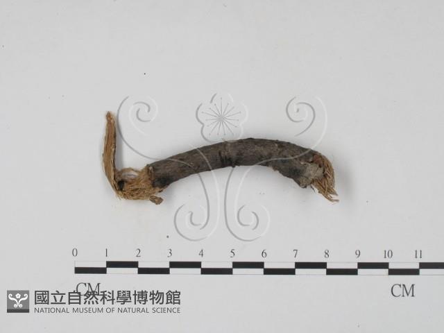 登錄號:F0019689藏品圖，第3張