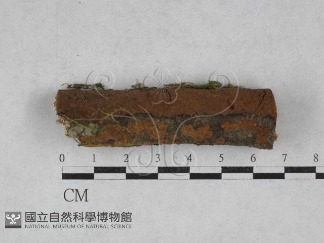 登錄號:F0028489藏品圖，第3張