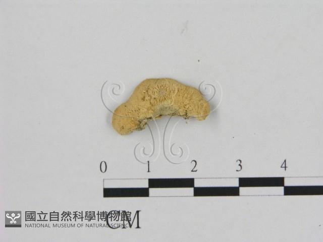 登錄號:F0006489藏品圖，第3張