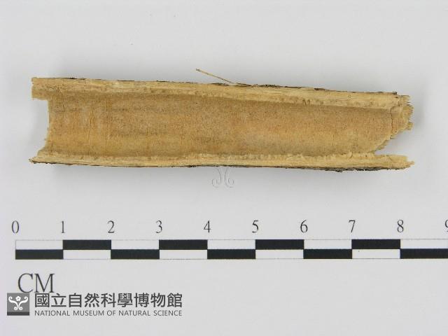 登錄號:F0004489藏品圖，第3張