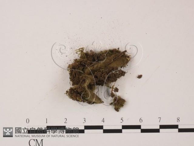 登錄號:F0009789藏品圖，第3張