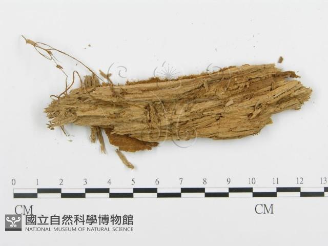 登錄號:F0008189藏品圖，第3張