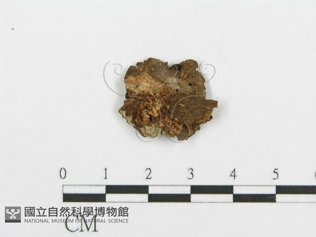 登錄號:F0004189藏品圖，第3張